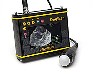 ultrasonograf-do-duzych-hodowli-psow-2
